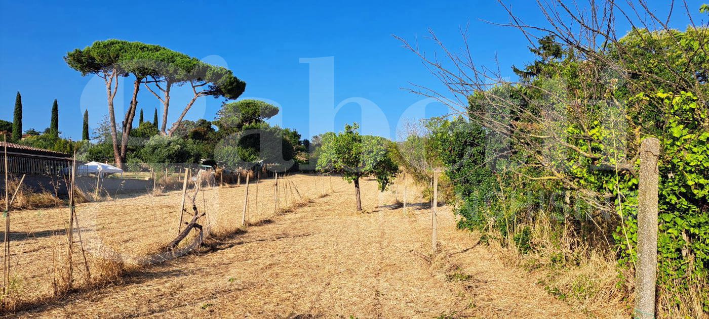 Terreno Agricolo in vendita a Marino
