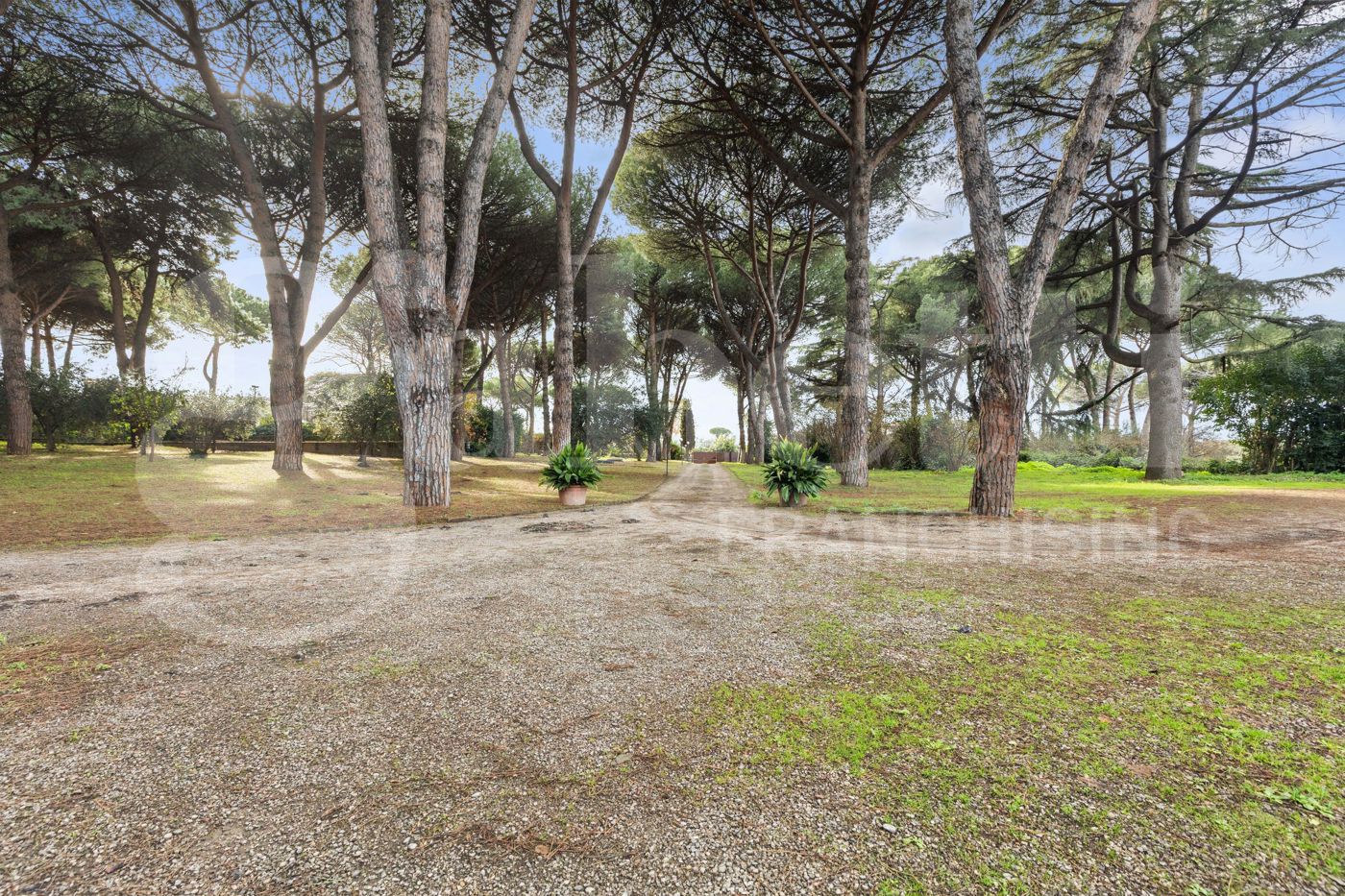 Villa in vendita a Marino