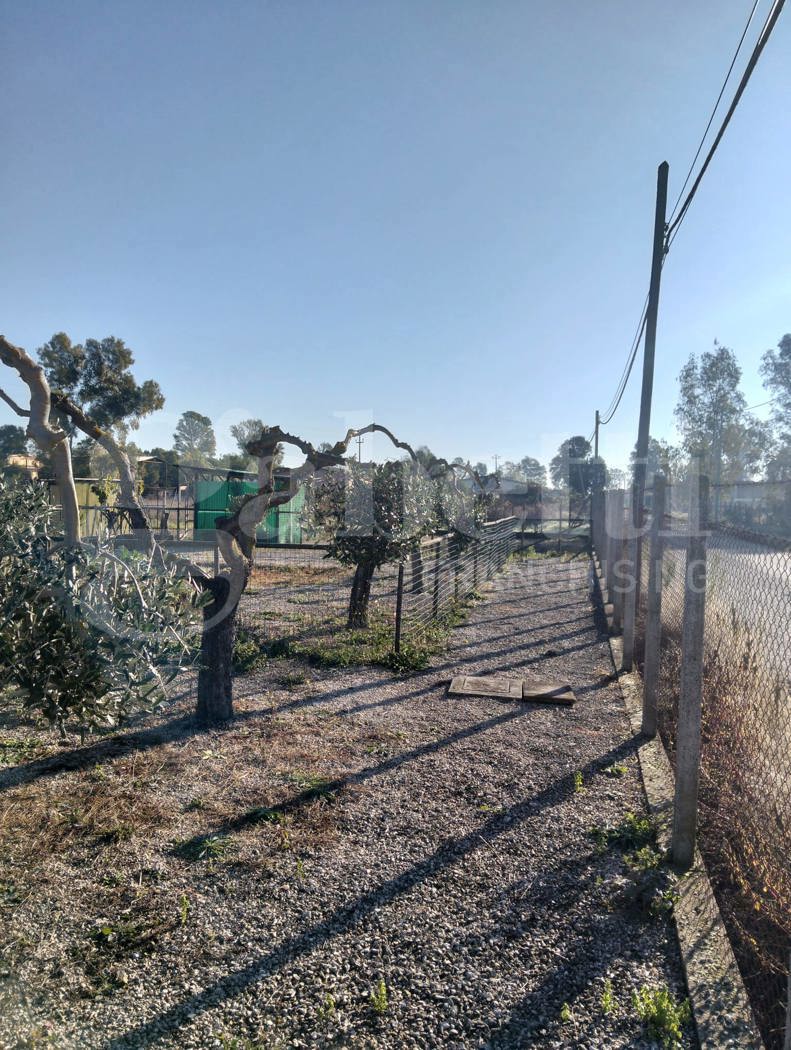 Terreno Agricolo in vendita a Aprilia
