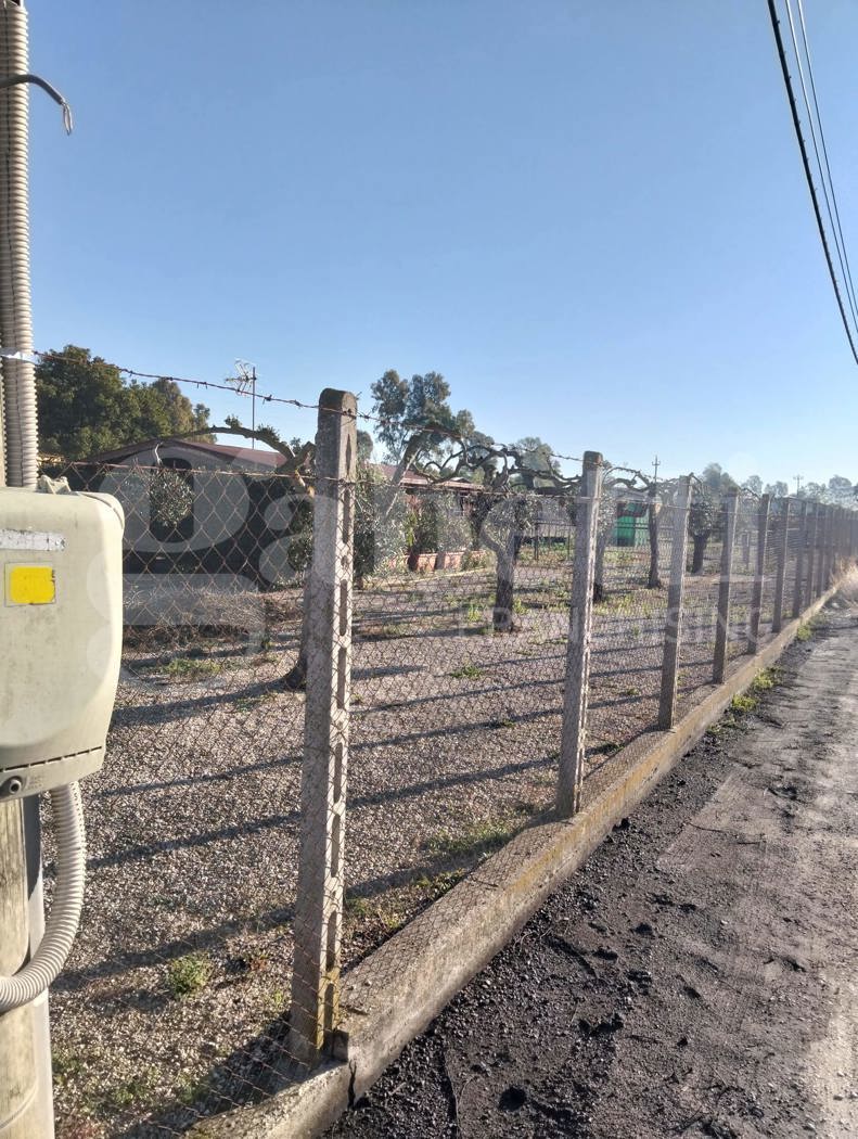 Terreno Agricolo in vendita a Aprilia
