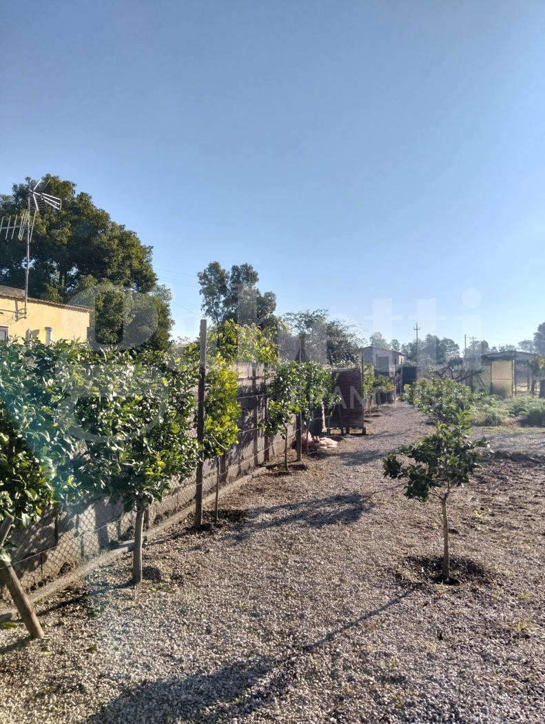 Terreno Agricolo in vendita a Aprilia