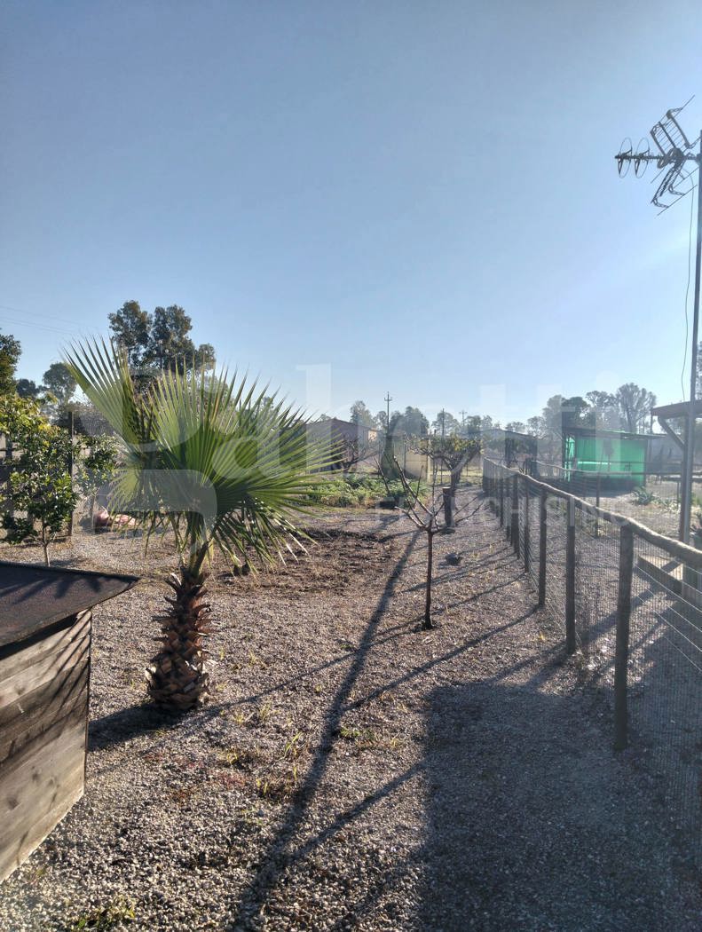 Terreno Agricolo in vendita a Aprilia