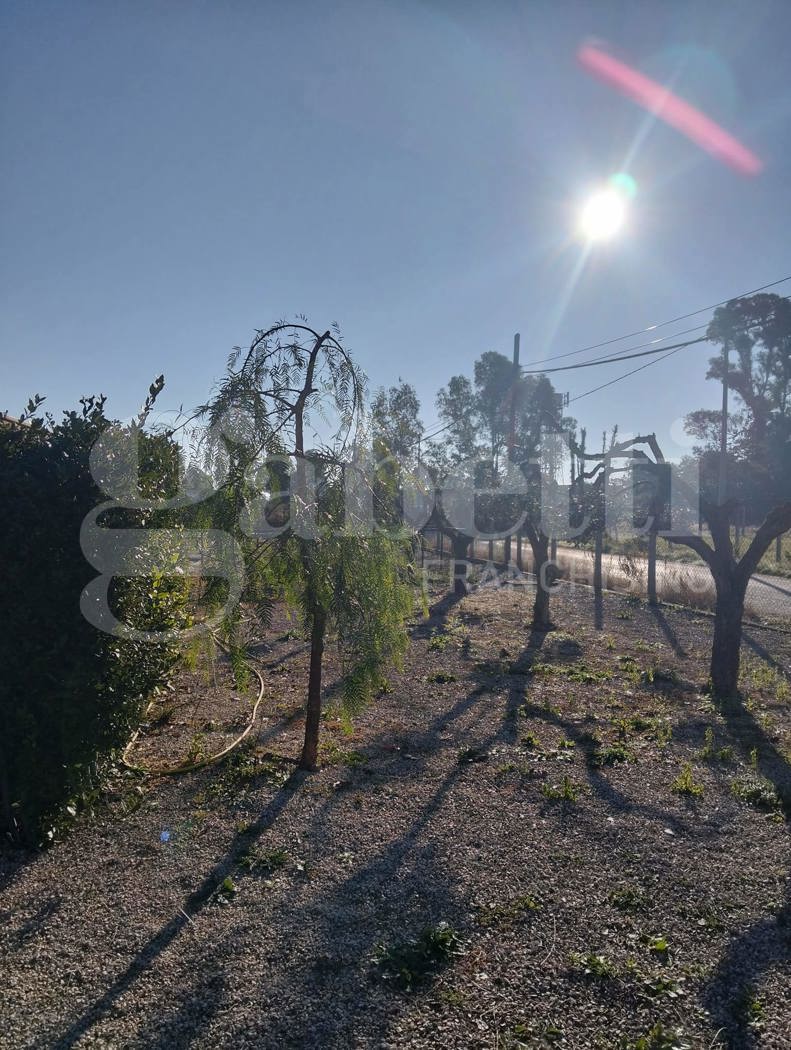 Terreno Agricolo in vendita a Aprilia
