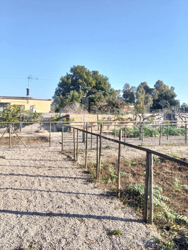 Terreno Agricolo in vendita a Aprilia