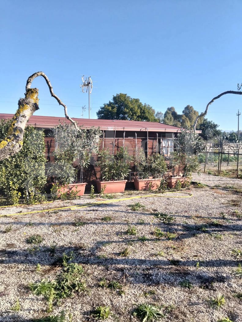 Terreno Agricolo in vendita a Aprilia