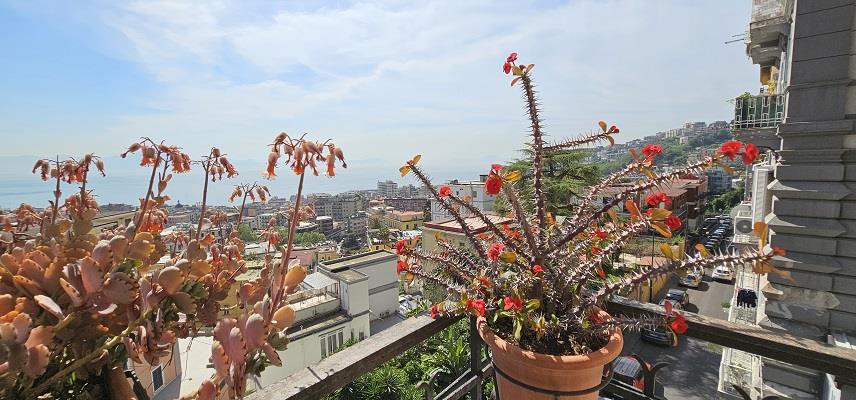 Appartamento da ristrutturare in via tasso, Napoli