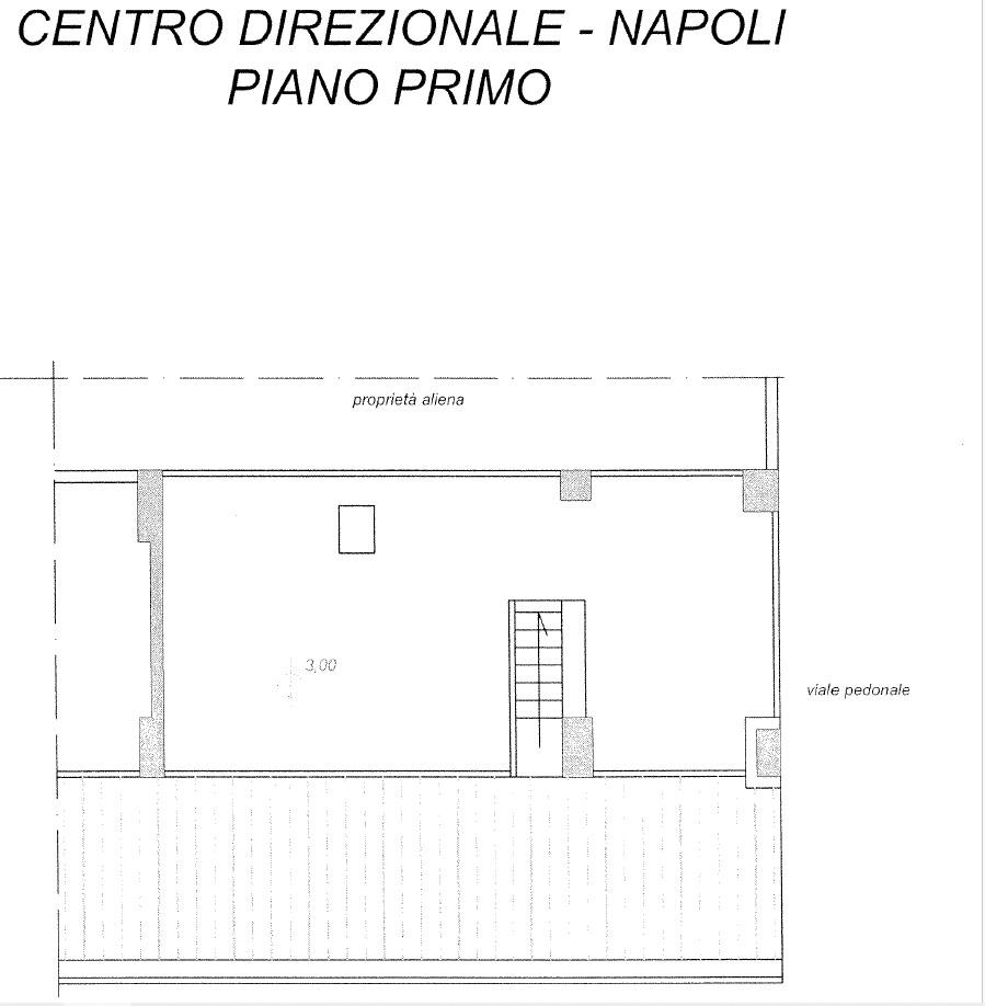 Negozio da ristrutturare in centro direzionale isola f11, Napoli