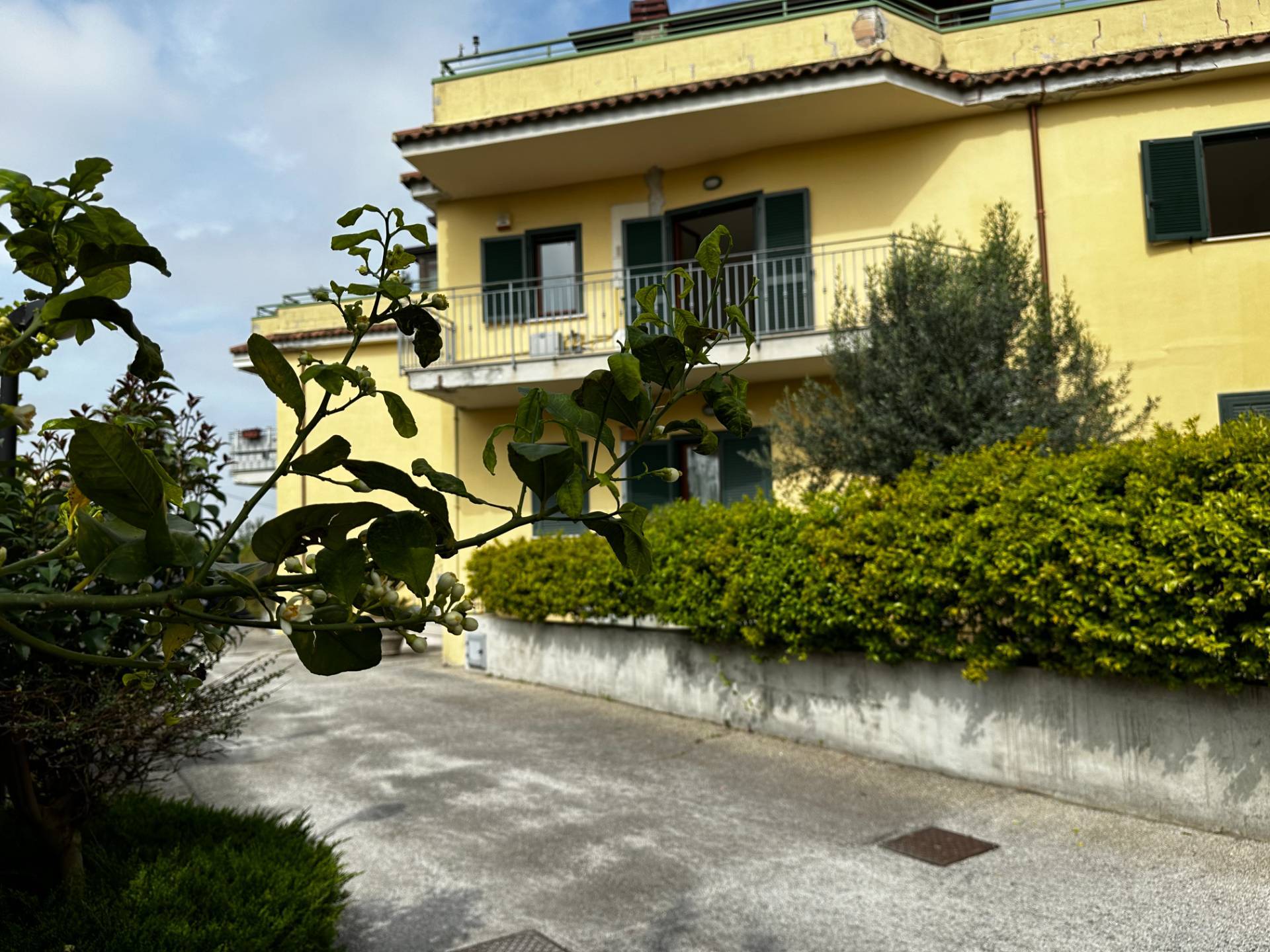 Appartamento in vendita a Maddaloni