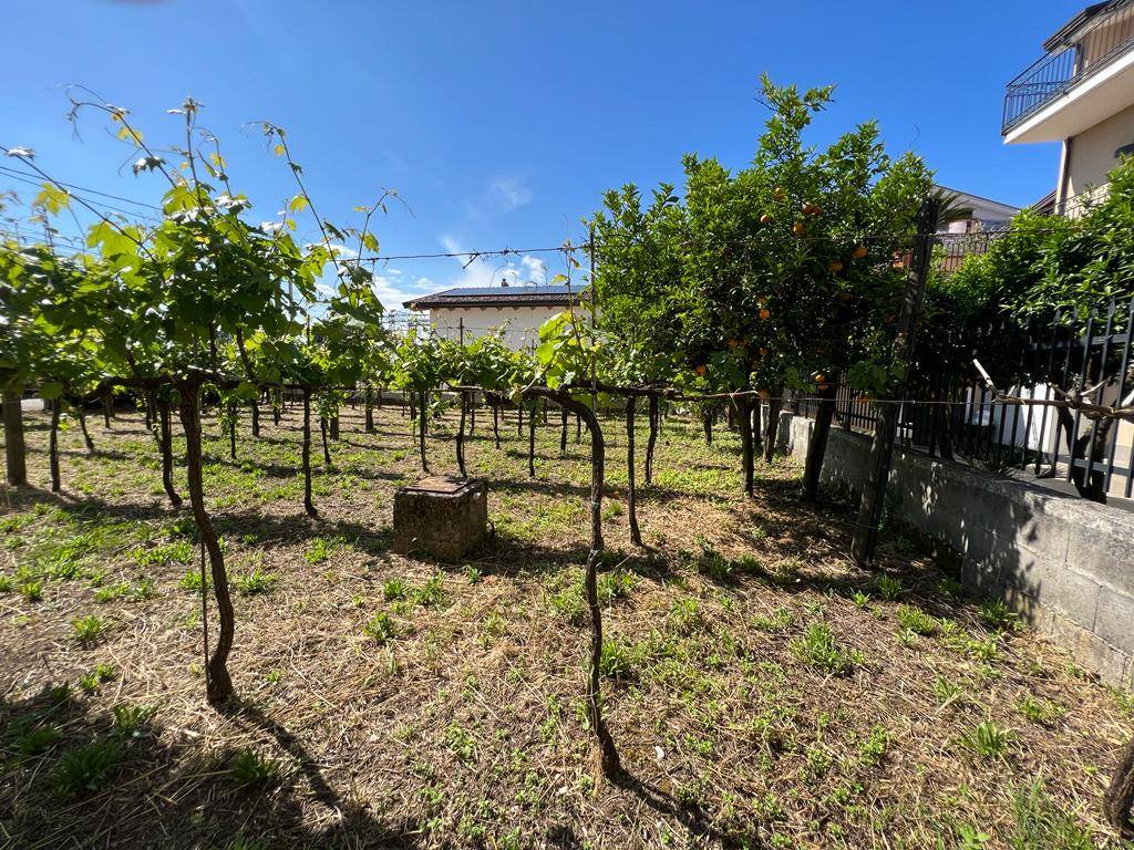 Terreno edificabile in vendita a Vairano Patenora