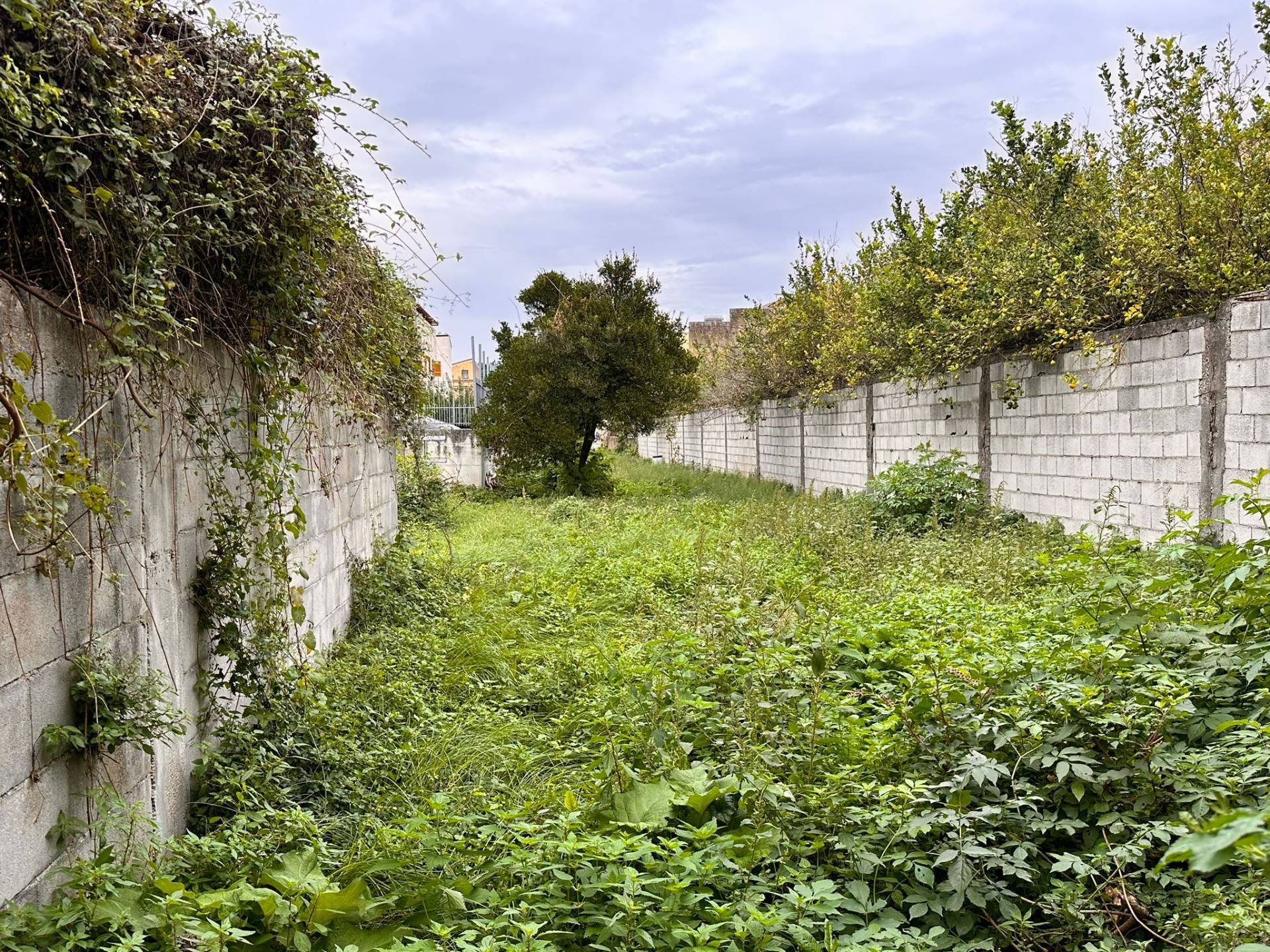 Casa singola in vendita a Maddaloni