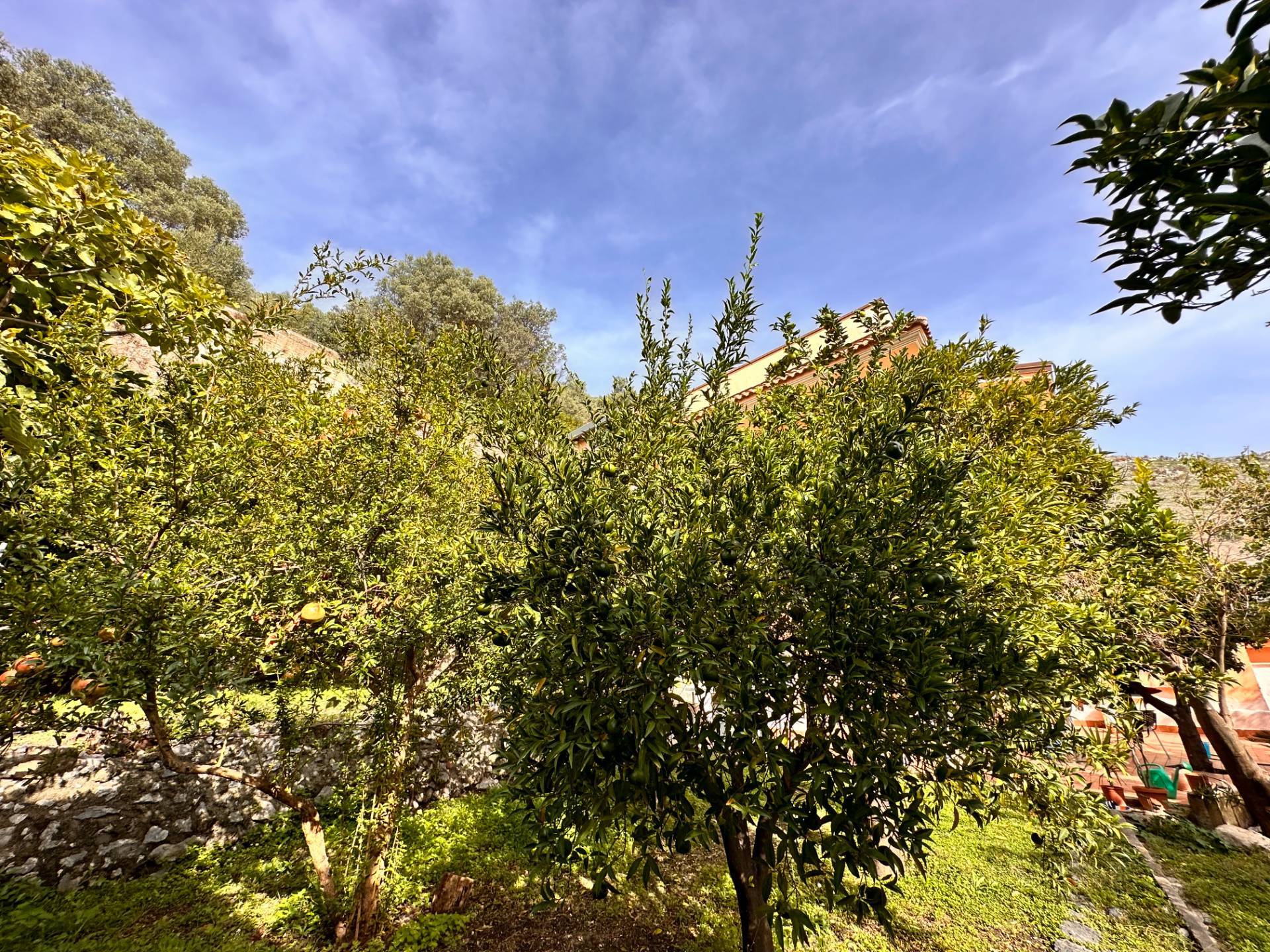 Casa singola in vendita a Maddaloni