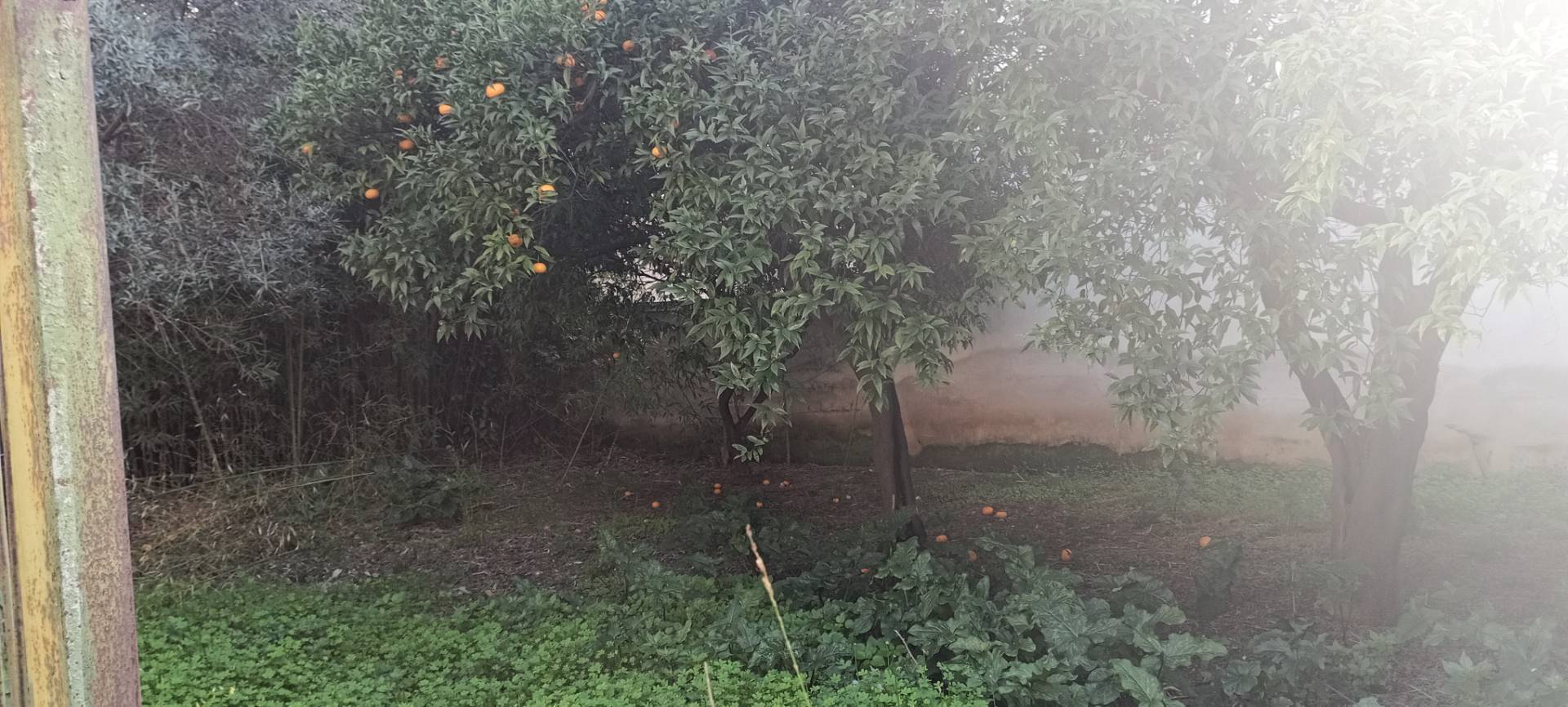 Casa singola in vendita a San Prisco