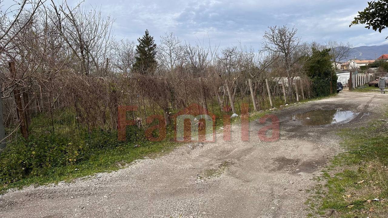 Terreno Agricolo in vendita a Mugnano del Cardinale