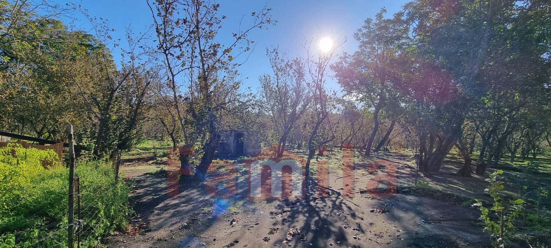 Terreno Agricolo in vendita a Avella