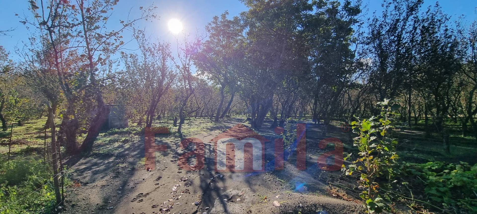 Terreno Agricolo in vendita a Avella