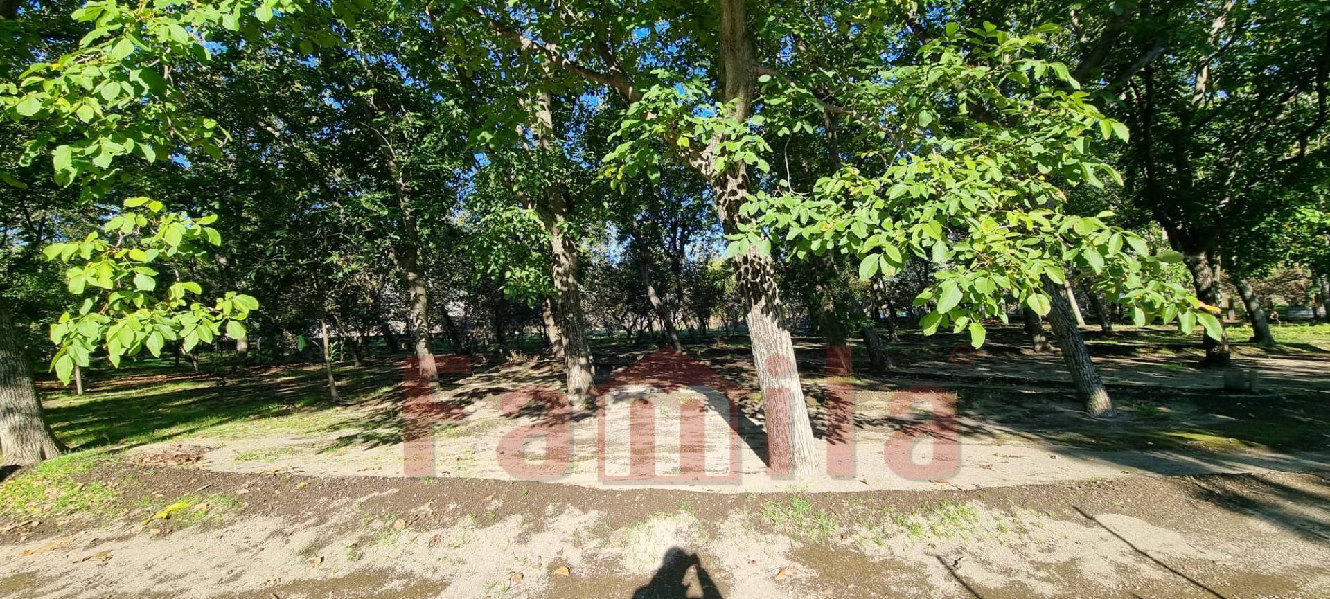 Terreno Agricolo in vendita a Avella