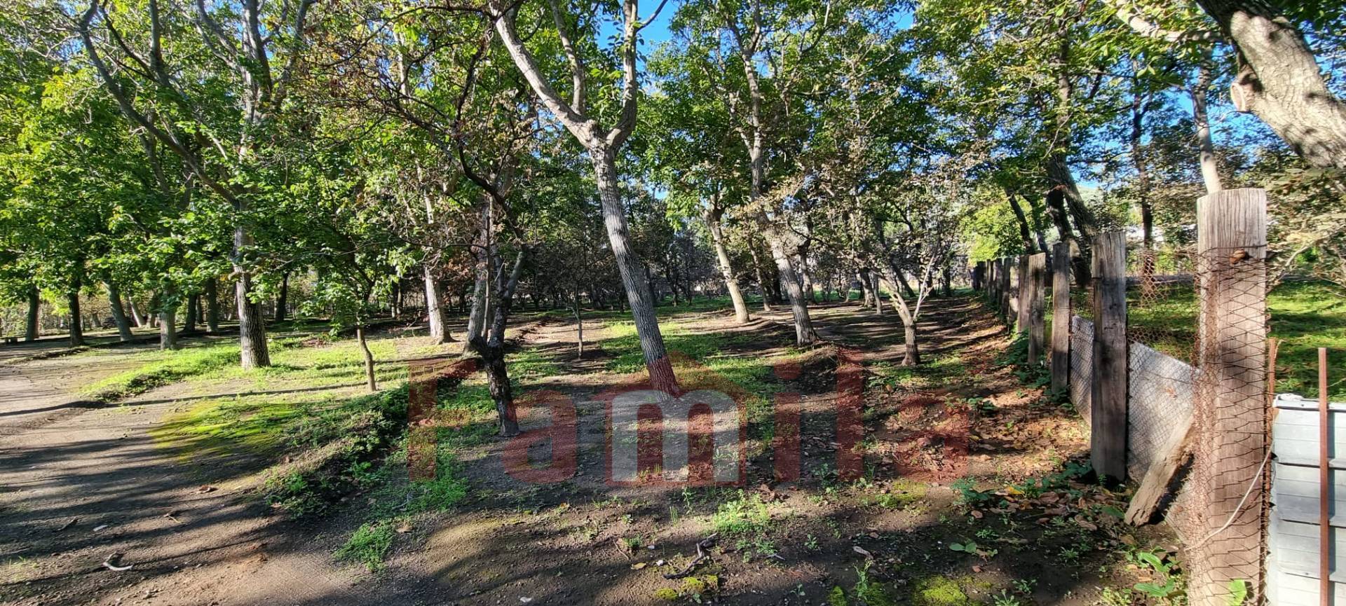 Terreno Agricolo in vendita a Avella