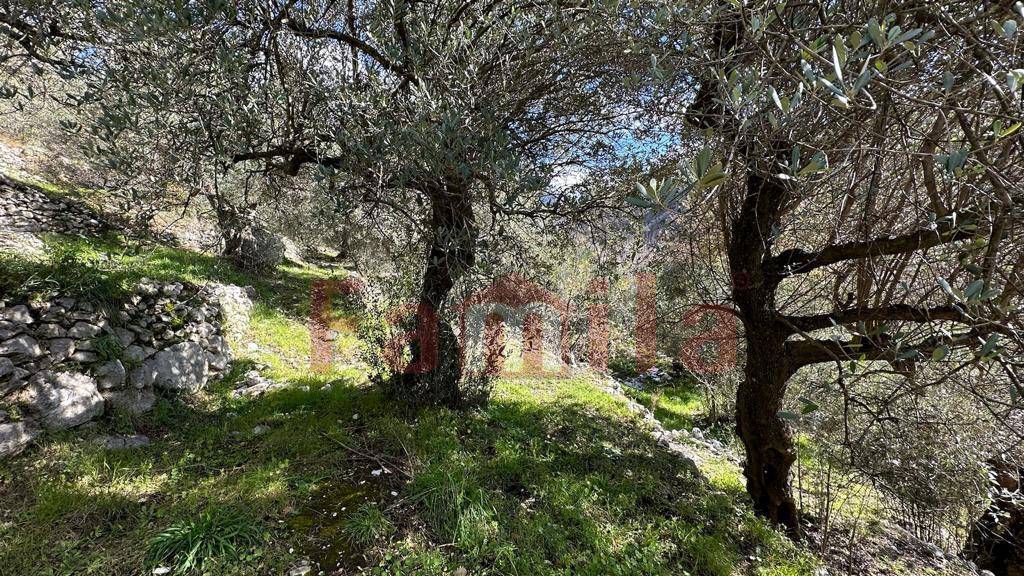 Terreno Agricolo in vendita a Quadrelle