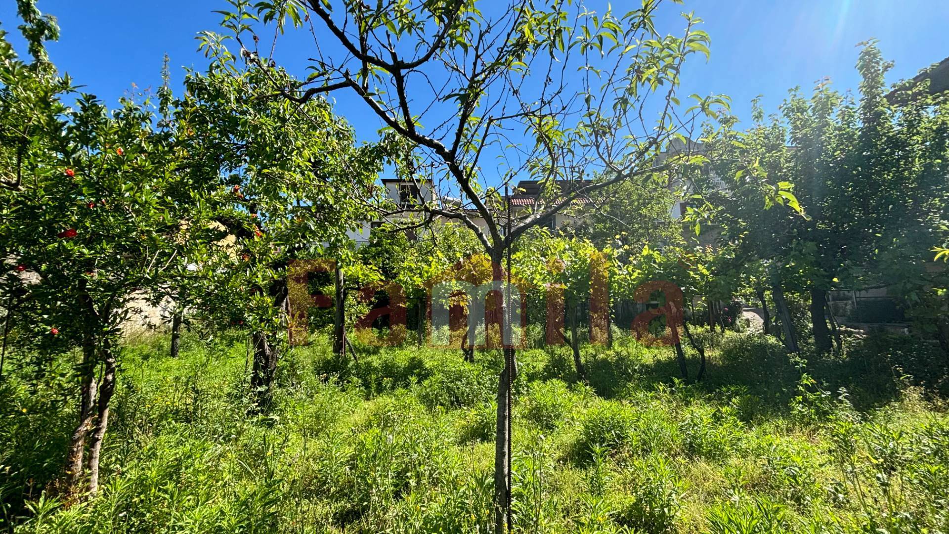 Terreno edificabile in vendita a Mugnano del Cardinale