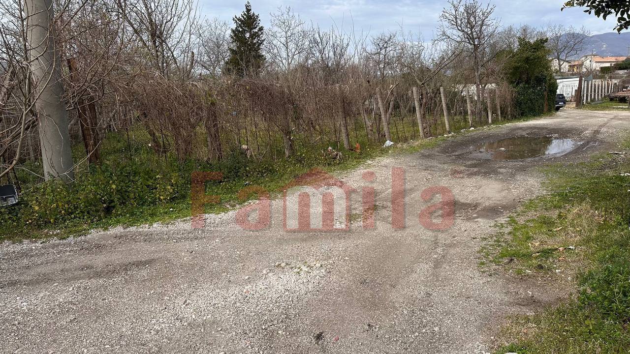 Terreno Agricolo in vendita a Mugnano del Cardinale