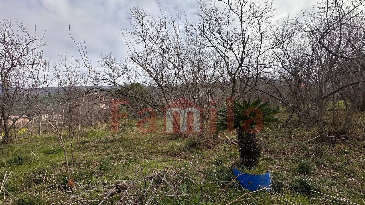 Terreno edificabile in vendita a Mugnano del Cardinale