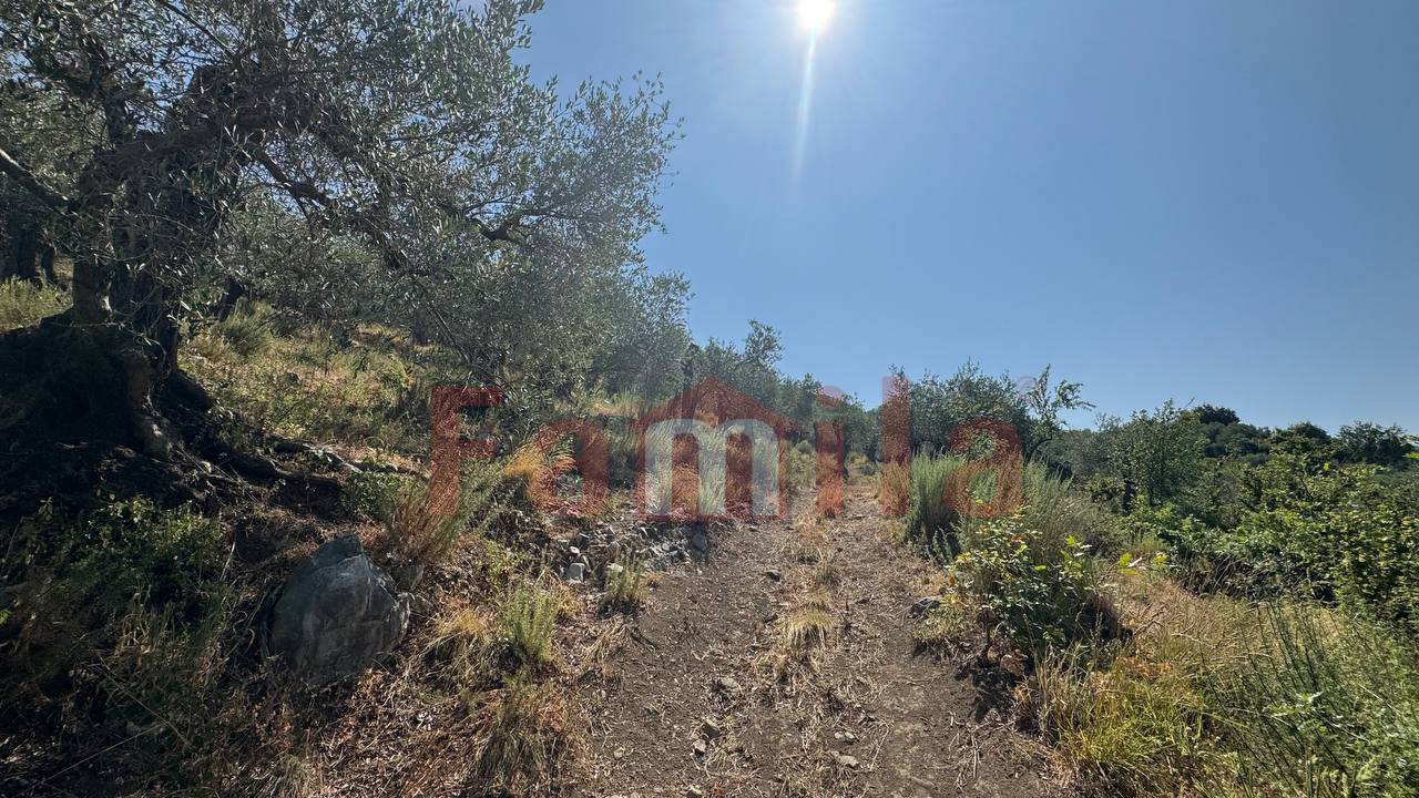 Terreno Agricolo in vendita a Avella