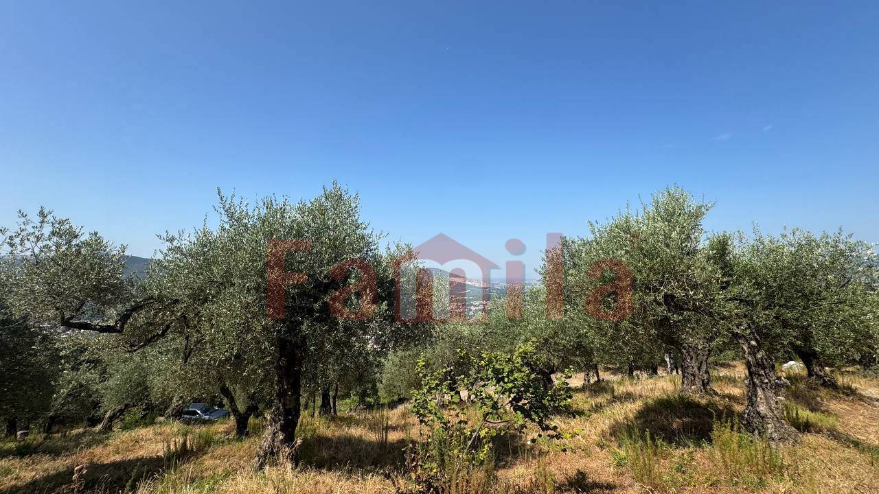 Terreno Agricolo in vendita a Avella