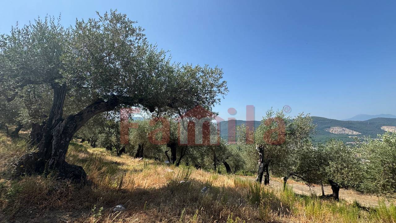 Terreno Agricolo in vendita a Avella