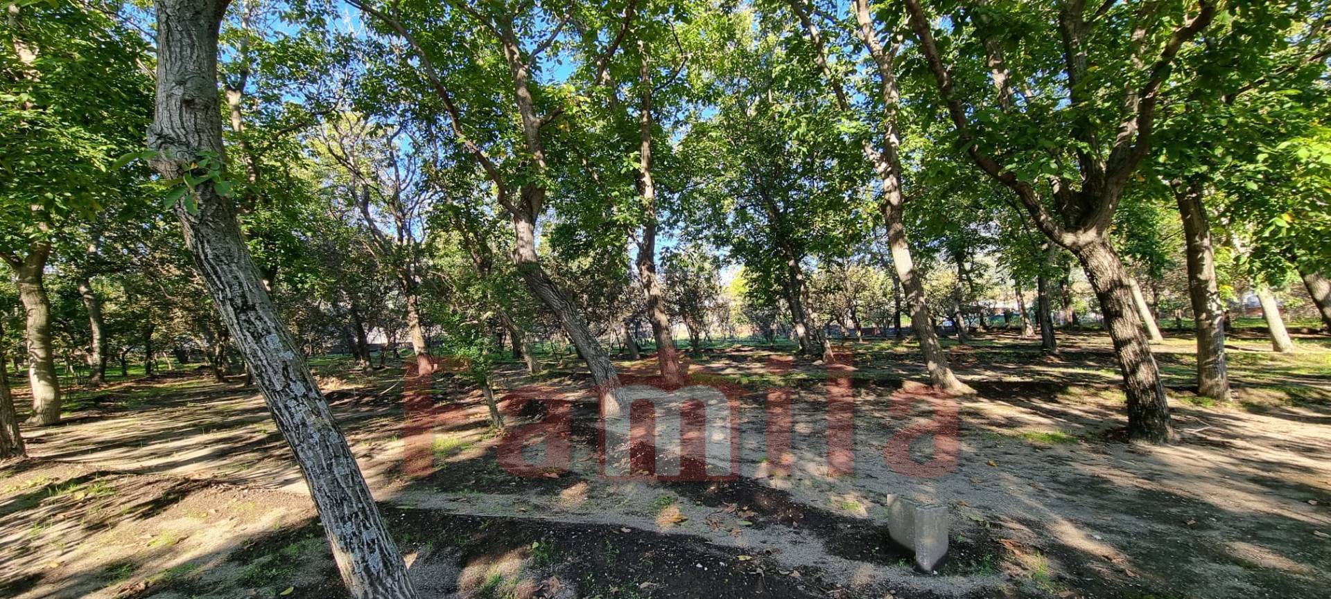 Terreno Agricolo in vendita a Avella