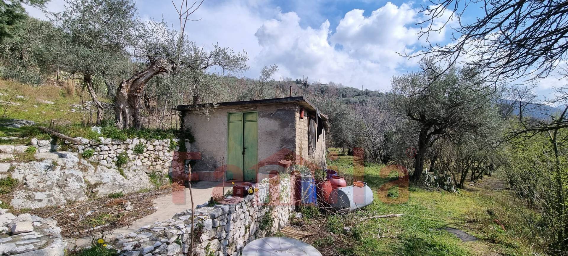 Terreno Agricolo in vendita a Mugnano del Cardinale