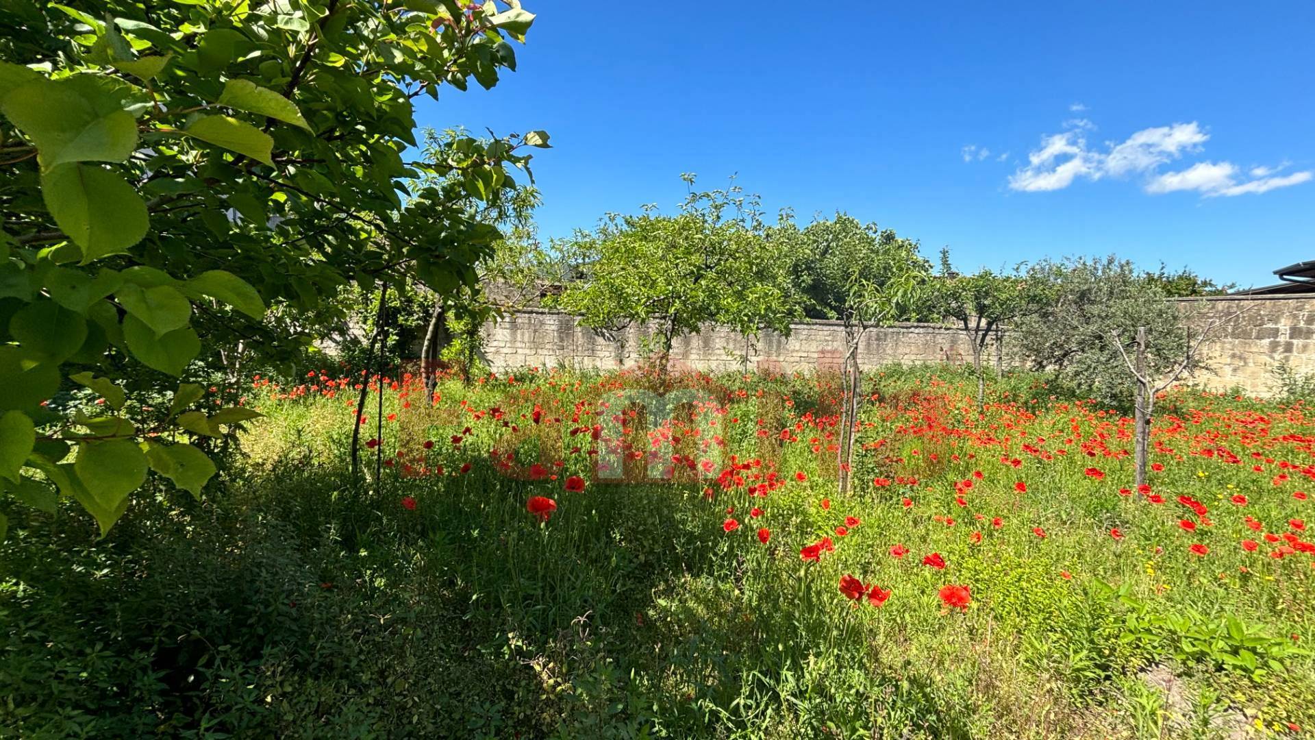 Terreno edificabile in vendita a Mugnano del Cardinale