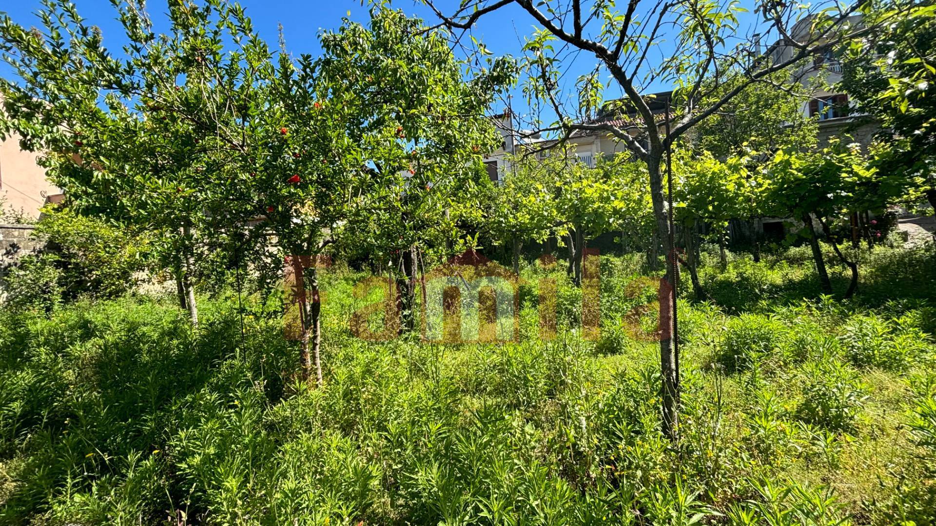 Terreno edificabile in vendita a Mugnano del Cardinale