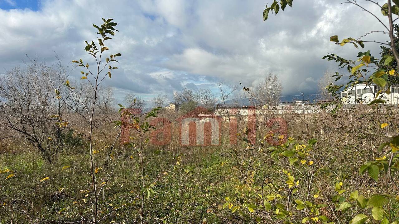 Terreno Agricolo in vendita a Quadrelle