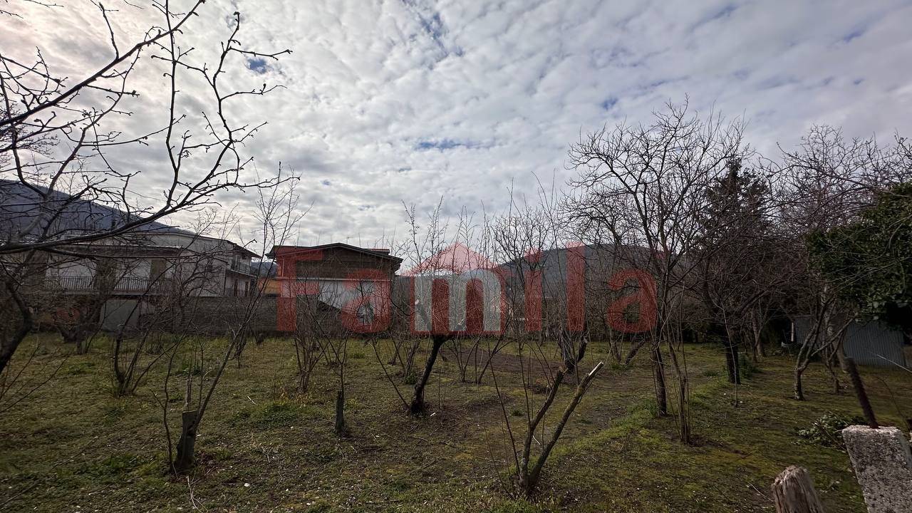 Terreno Agricolo in vendita a Mugnano del Cardinale