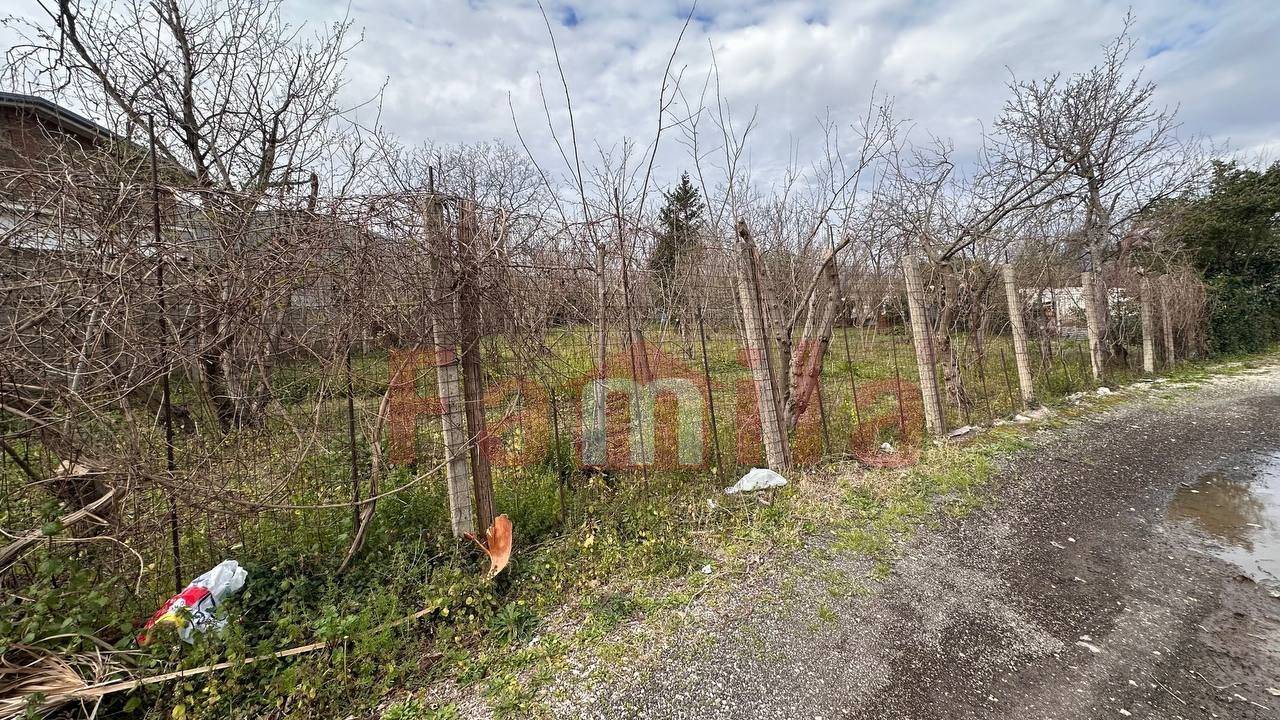Terreno Agricolo in vendita a Mugnano del Cardinale