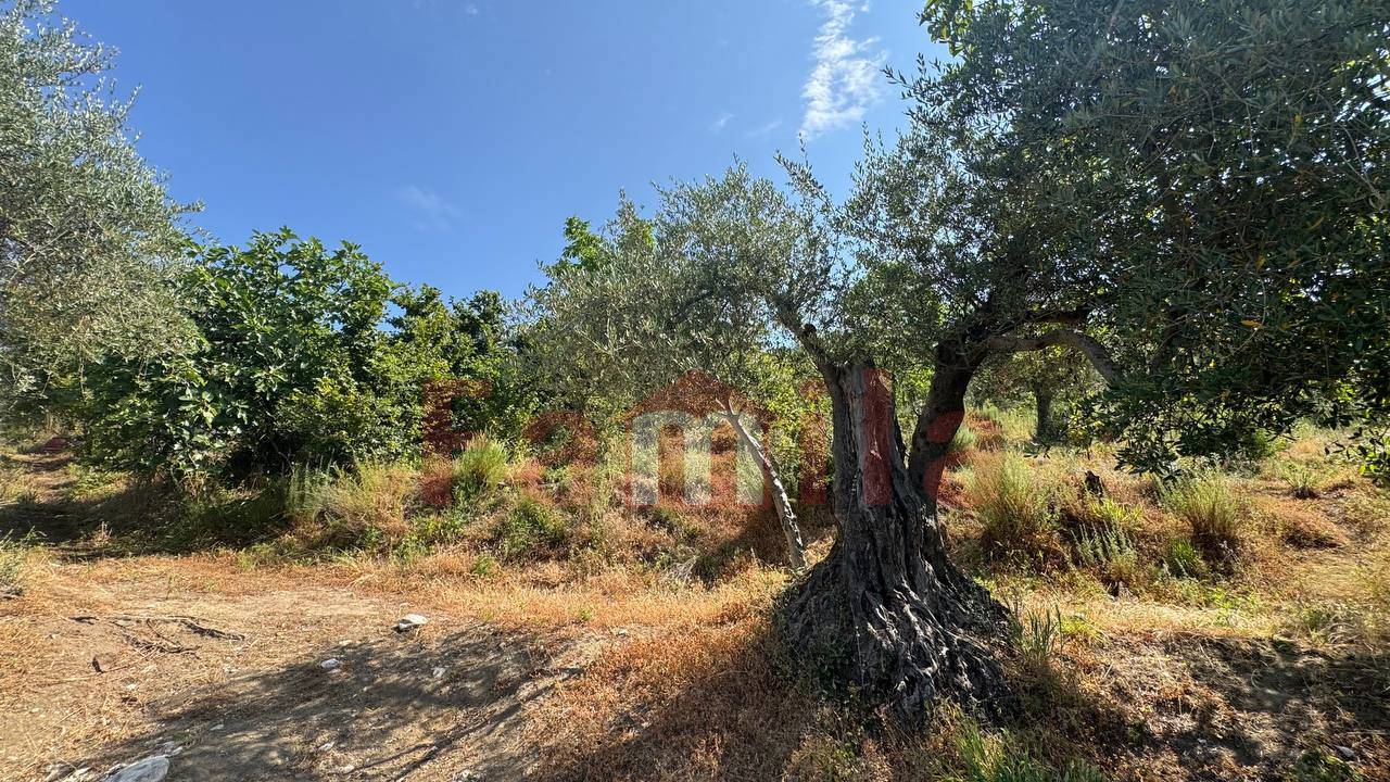 Terreno Agricolo in vendita a Avella