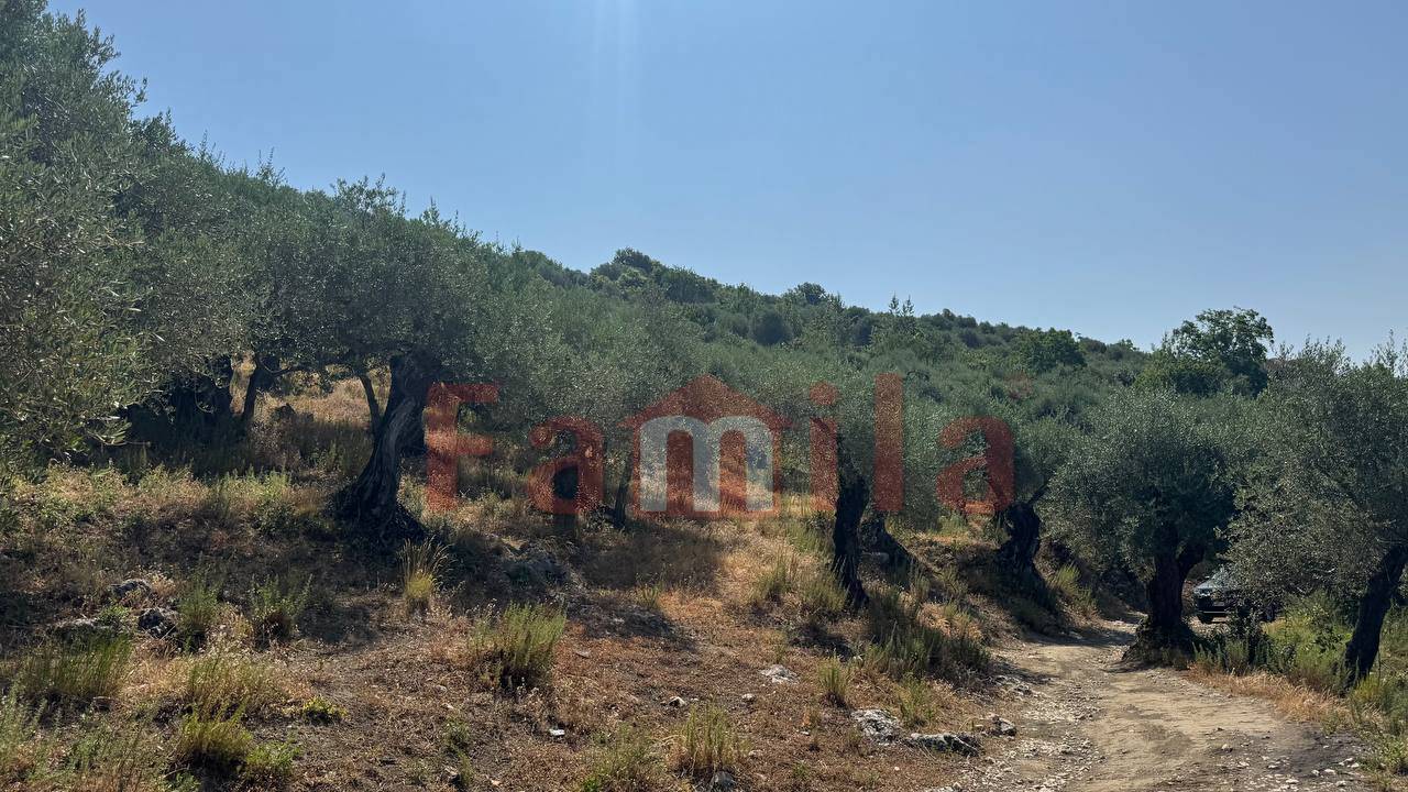 Terreno Agricolo in vendita a Avella
