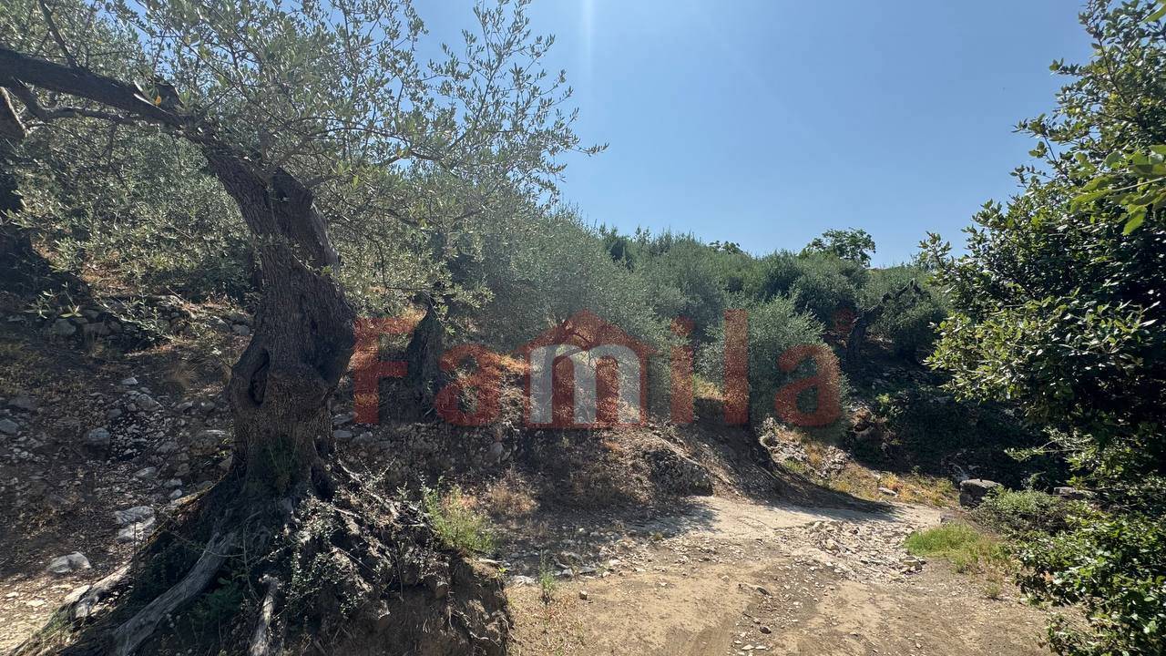 Terreno Agricolo in vendita a Avella