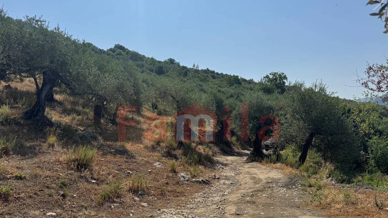 Terreno Agricolo in vendita a Avella