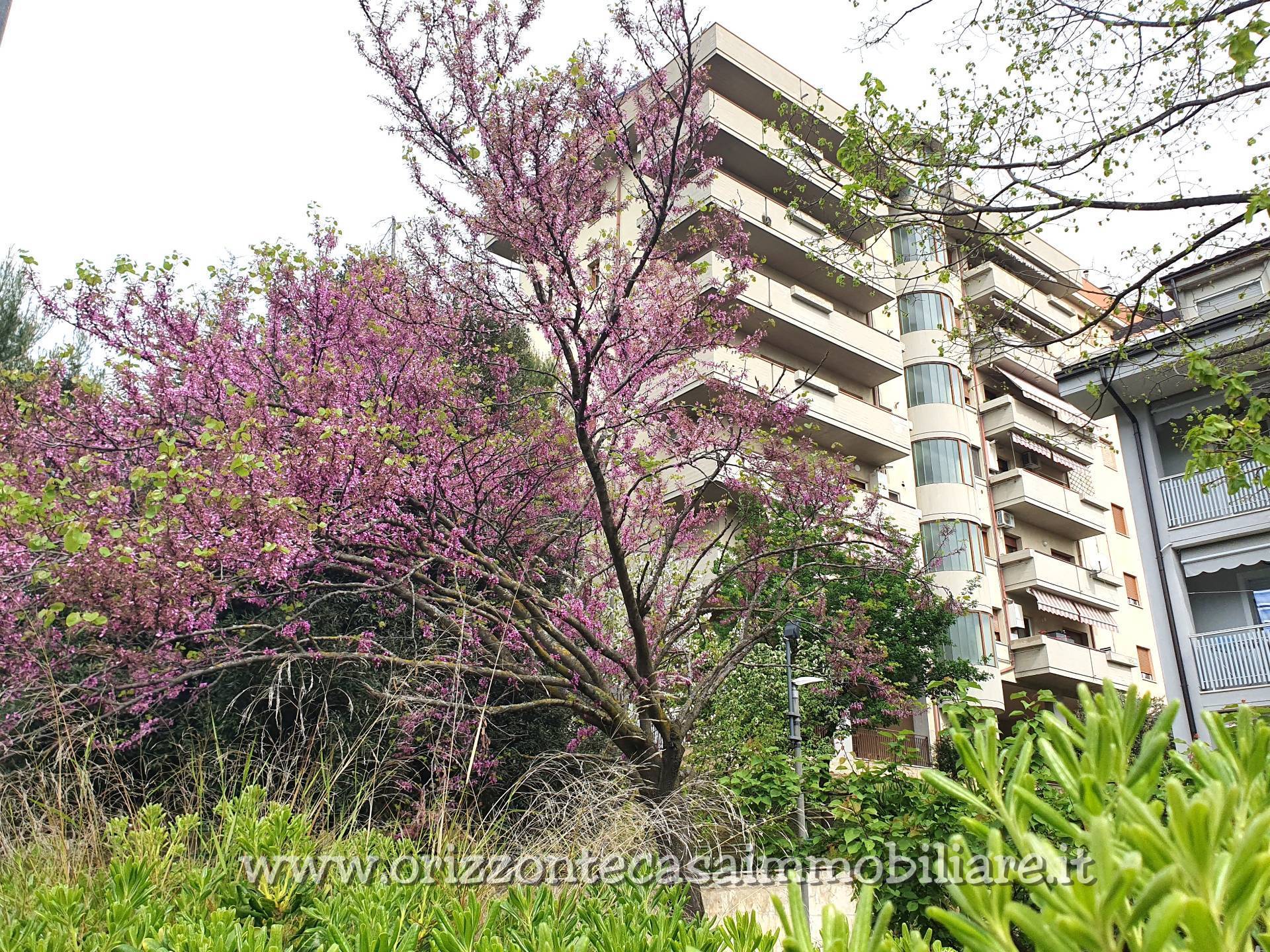 Appartamento in vendita a Ascoli Piceno, Monticelli