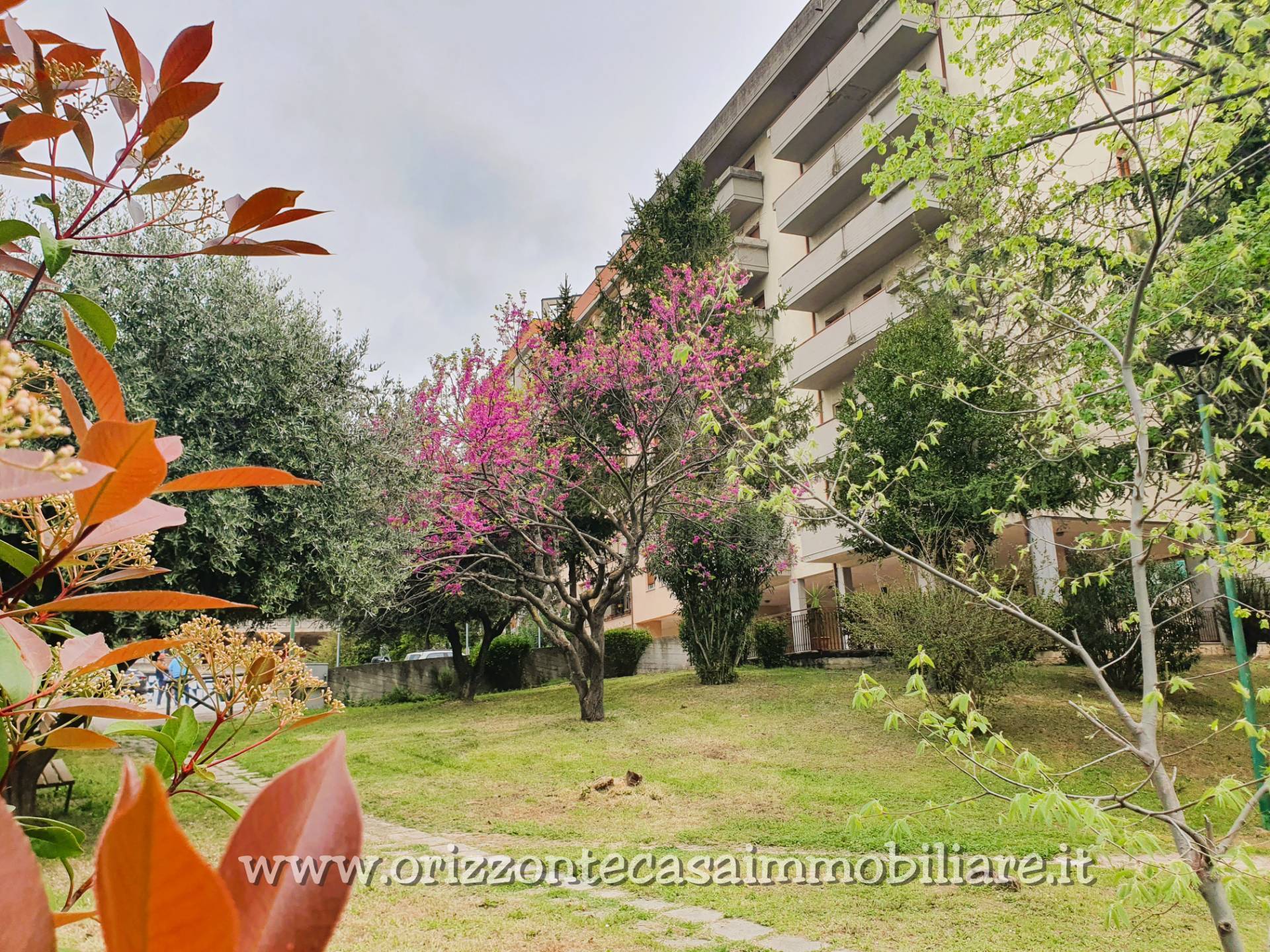 Appartamento in vendita a Ascoli Piceno, Monticelli