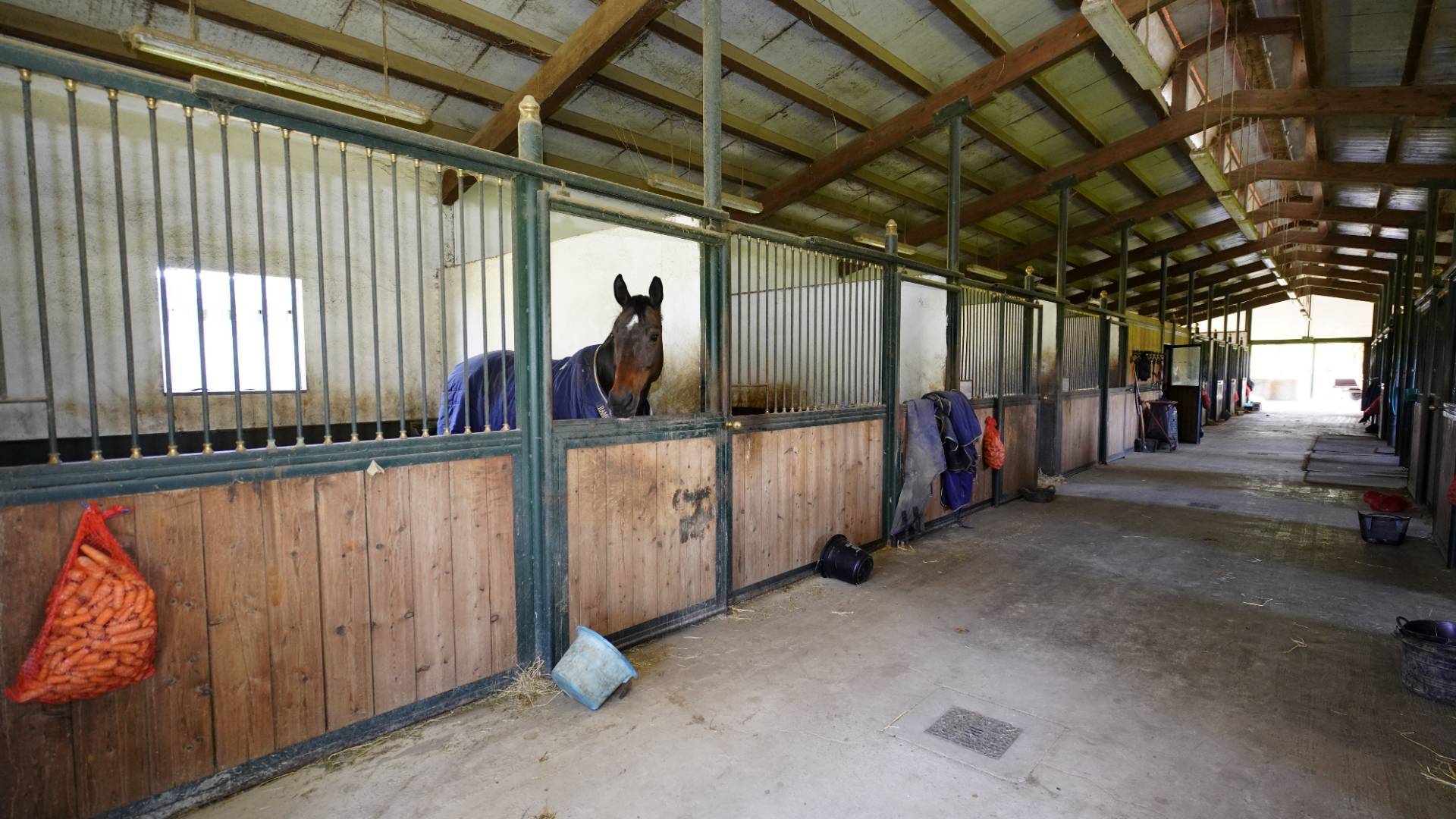 Tenuta in vendita a Cellarengo, Menab