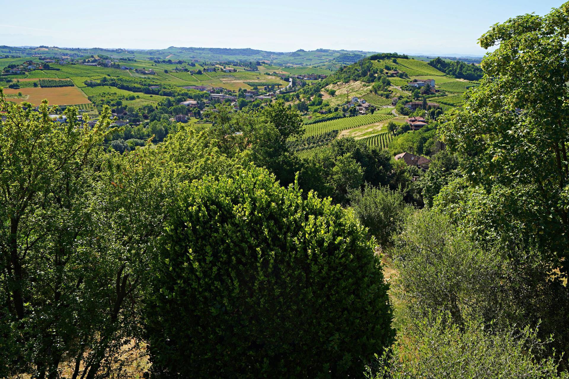 Casa indipendente in vendita a San Marzano Oliveto