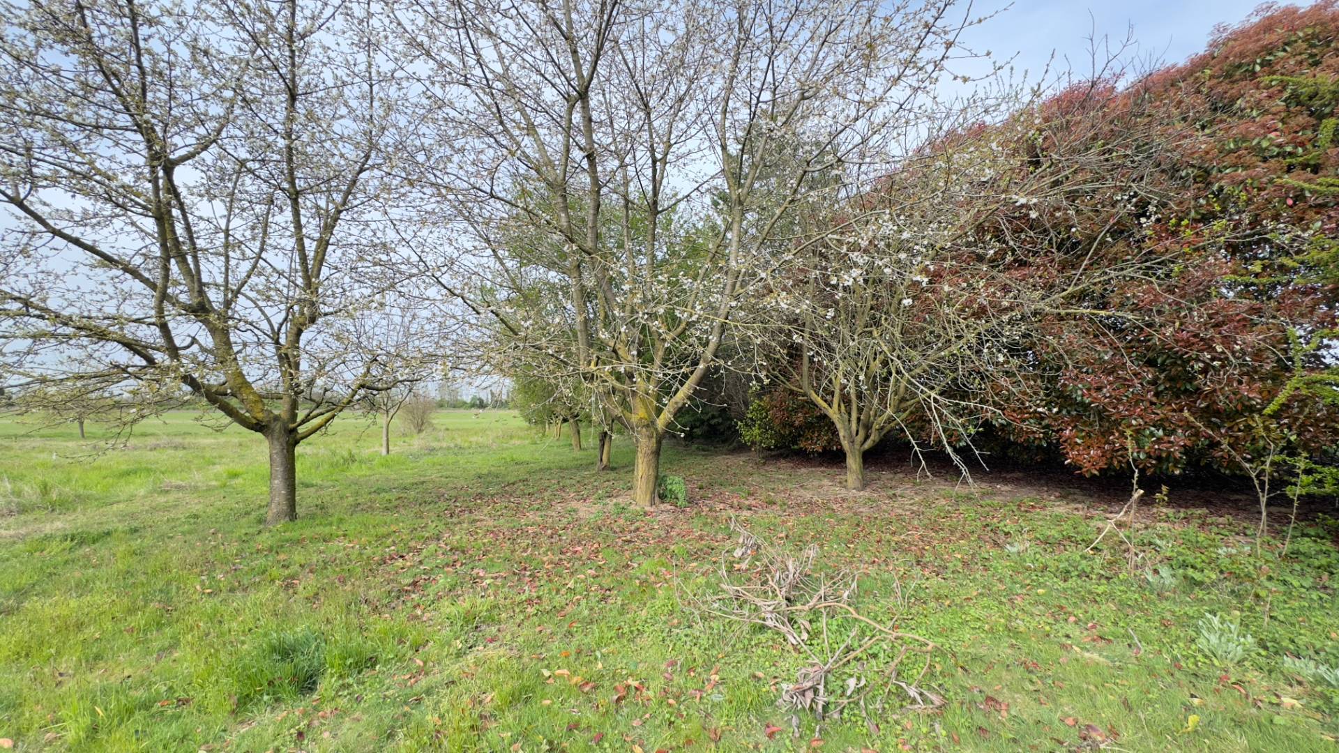 Terreno Agricolo in vendita a Cambiago, Torrazza