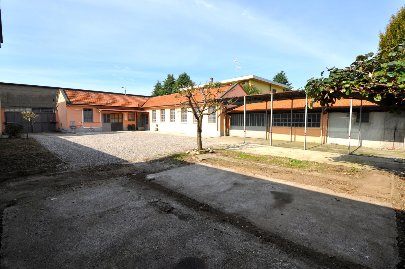 immagine annuncio 4 di 10