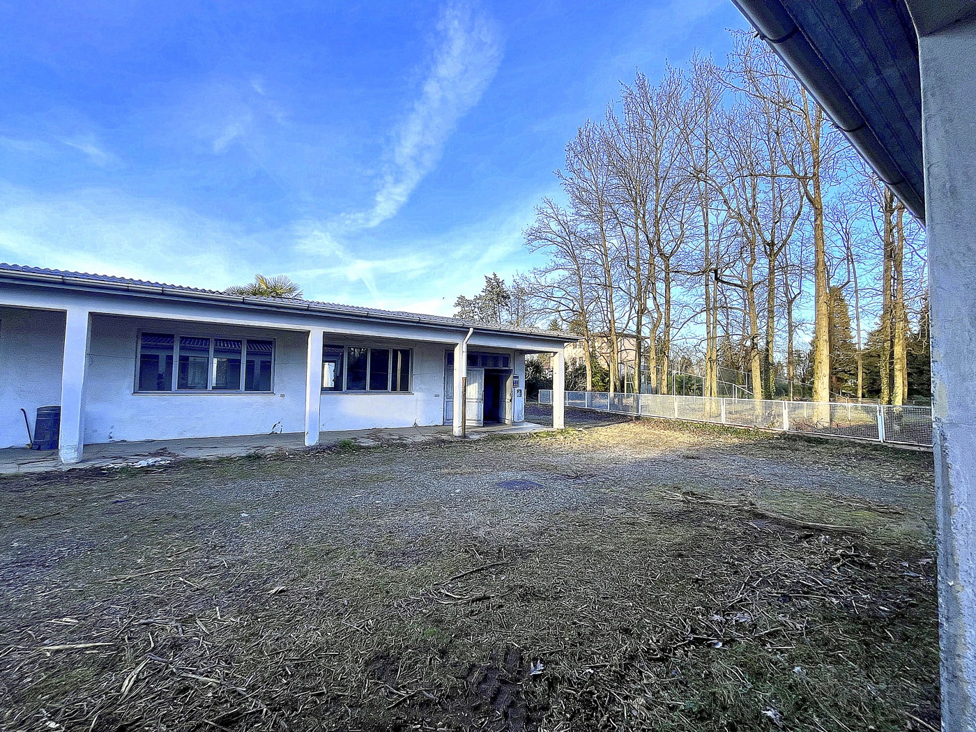 immagine annuncio 3 di 10