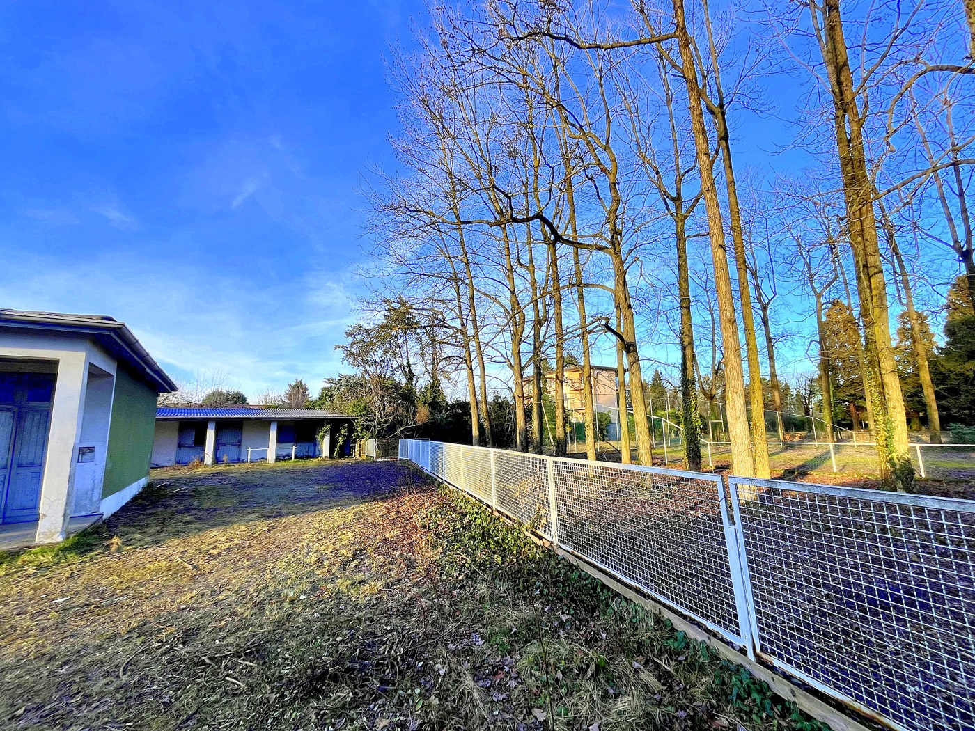 immagine annuncio 4 di 10