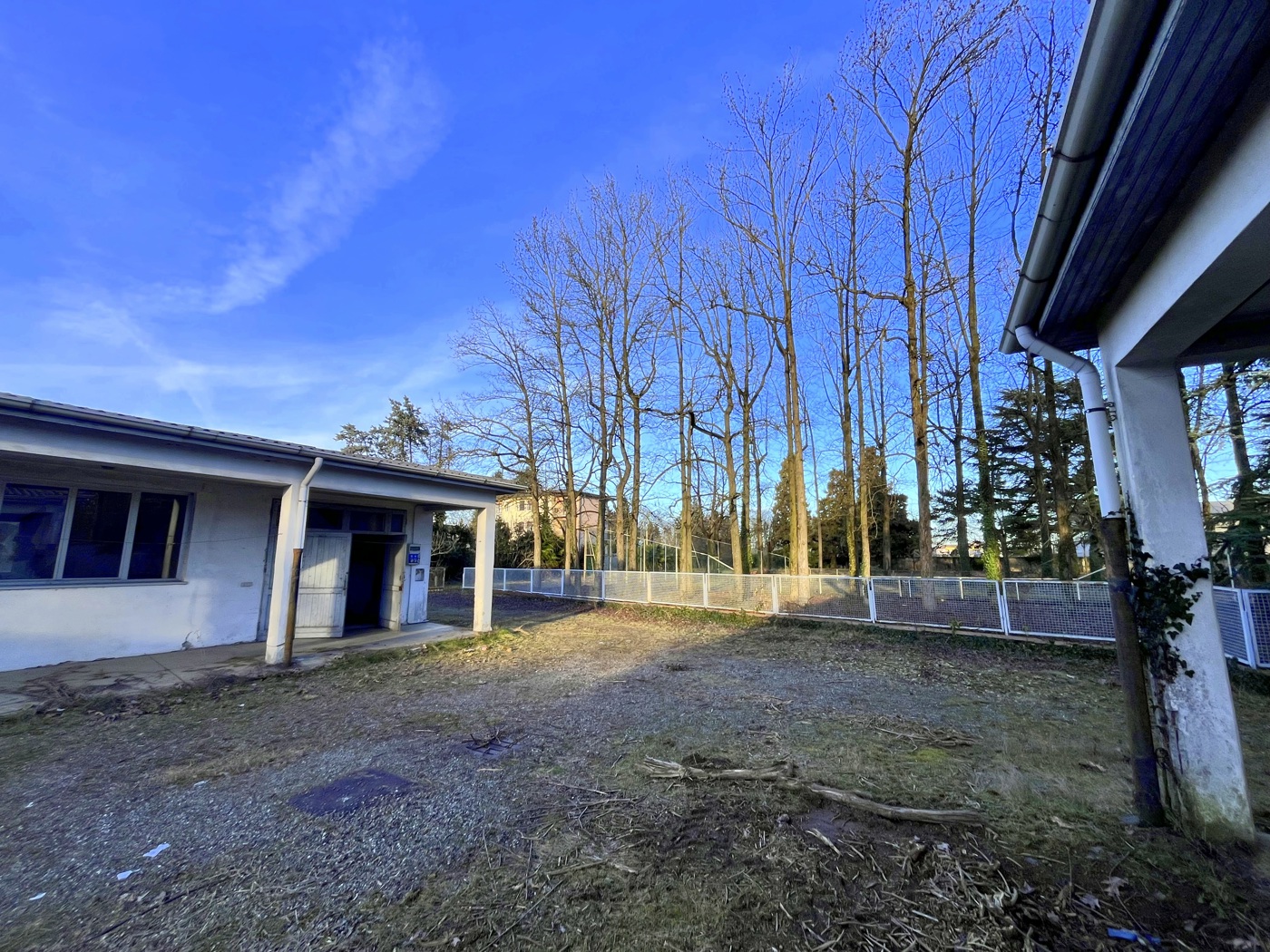 immagine annuncio 6 di 10