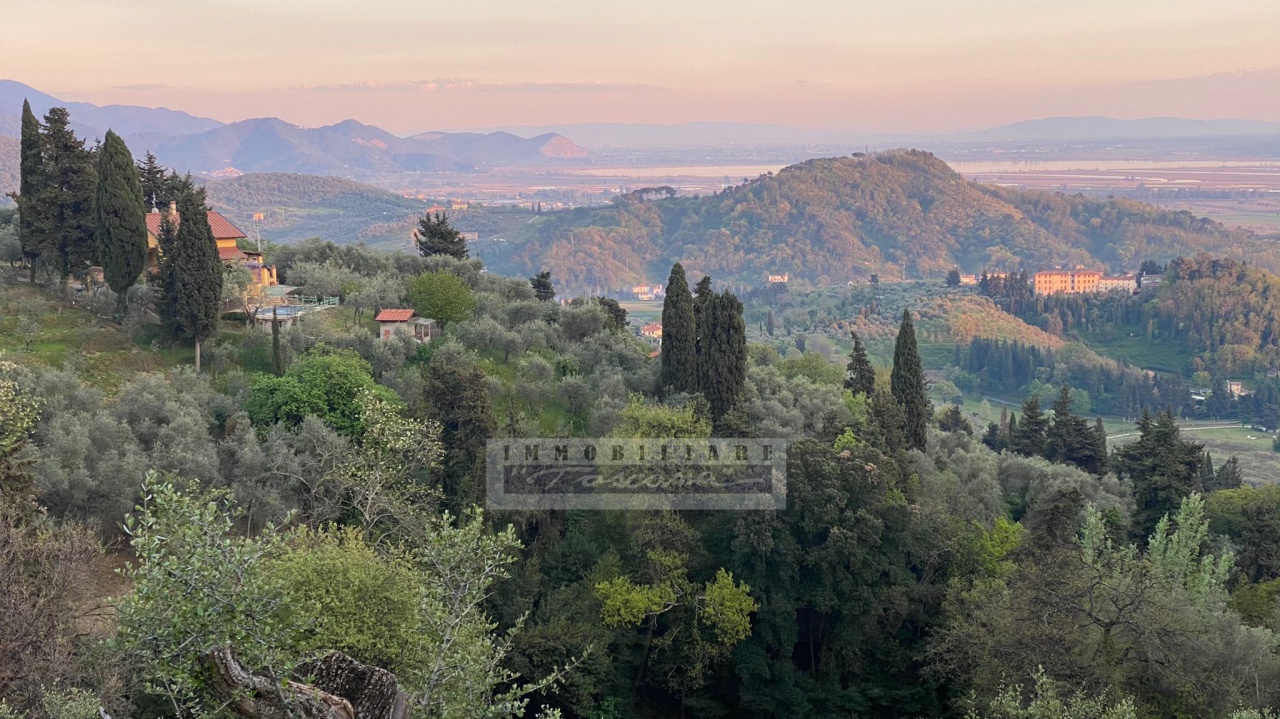 Villa con giardino a Massarosa