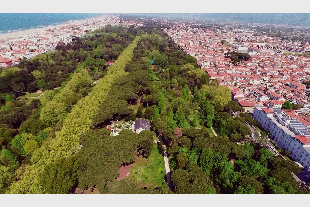 Ufficio in affitto a Viareggio